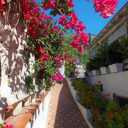 Apartment Welcomely - A Due Passi Dal Blu -